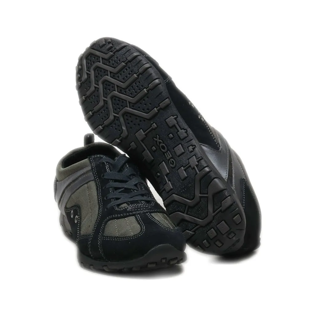Geox Lace Ups Fabric Black Colour For Women