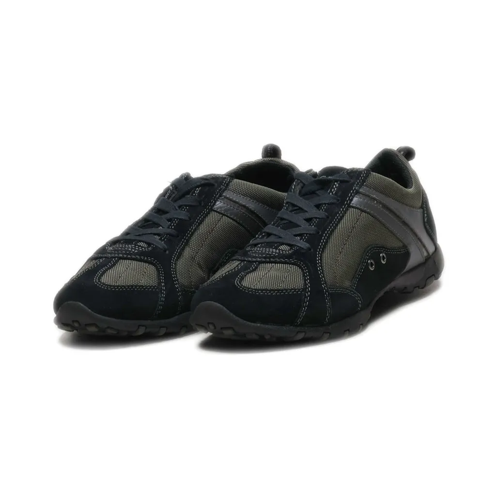 Geox Lace Ups Fabric Black Colour For Women