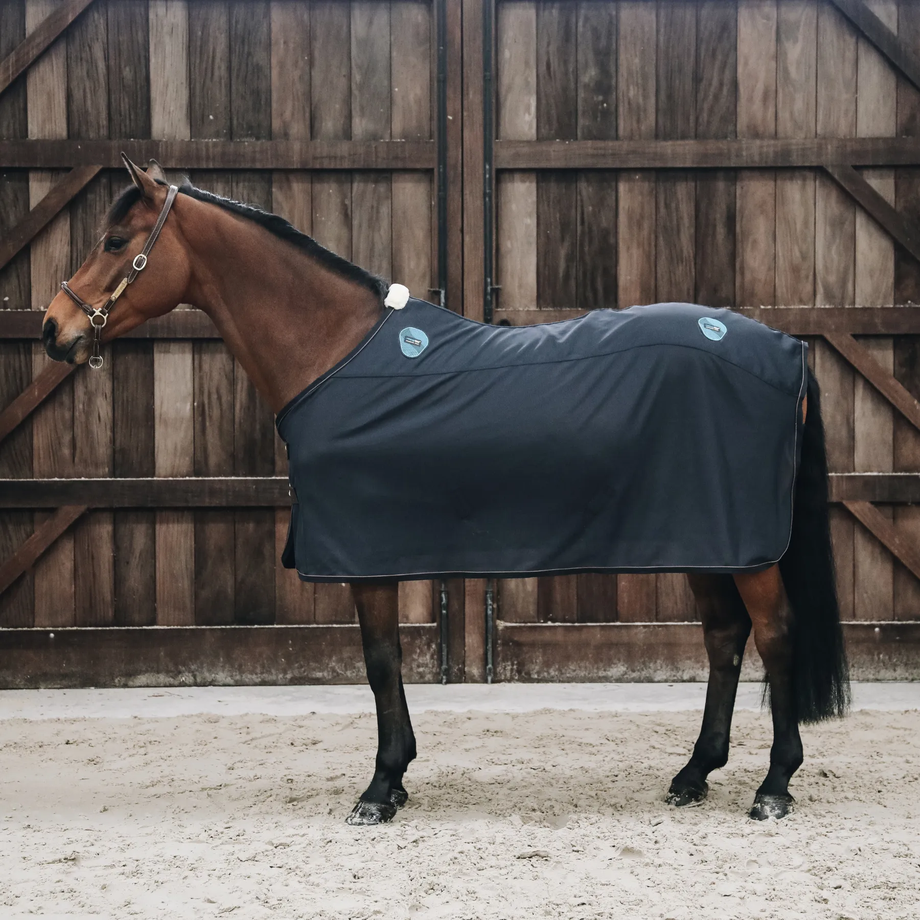 Kentucky Horsewear Magnetic Rug Recuptex