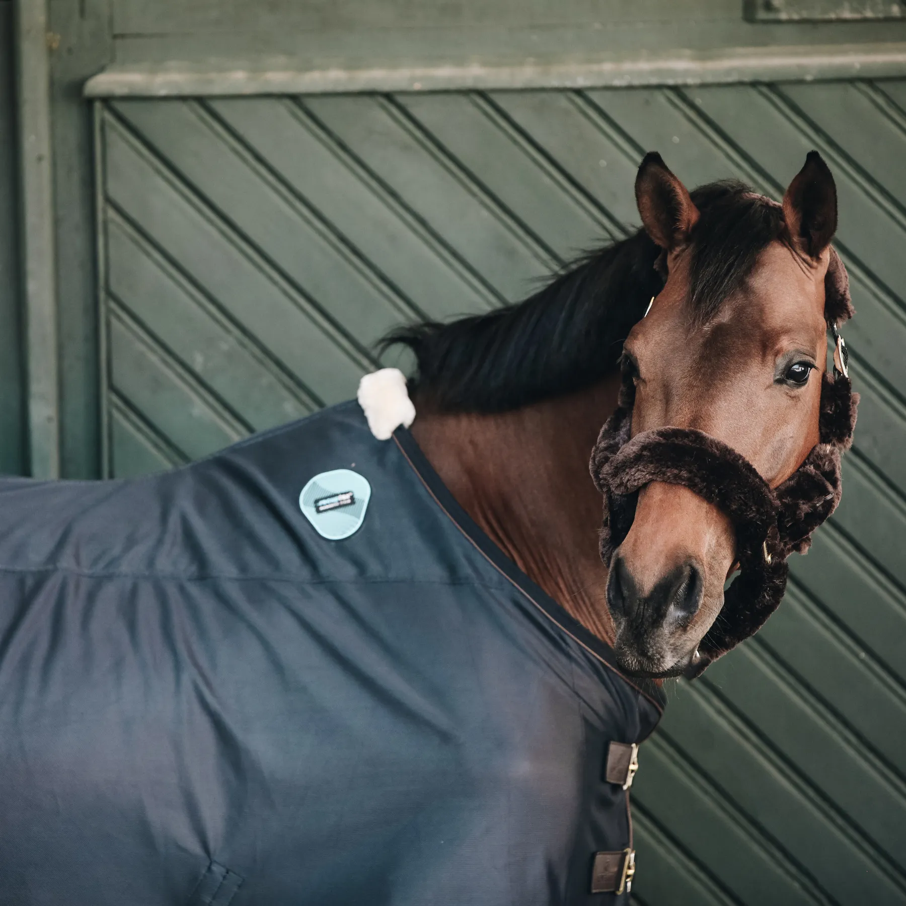 Kentucky Horsewear Magnetic Rug Recuptex
