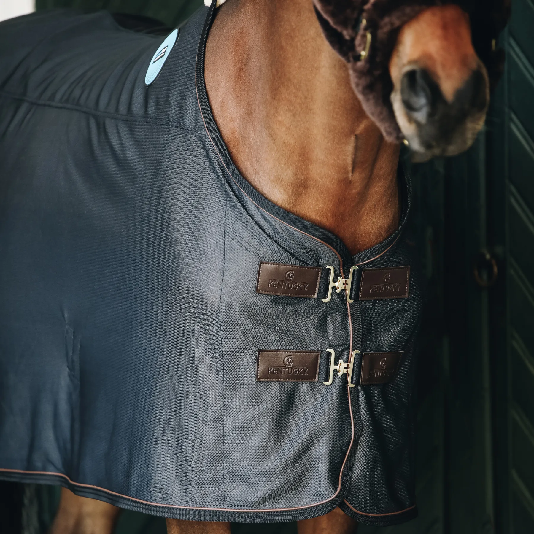 Kentucky Horsewear Magnetic Rug Recuptex