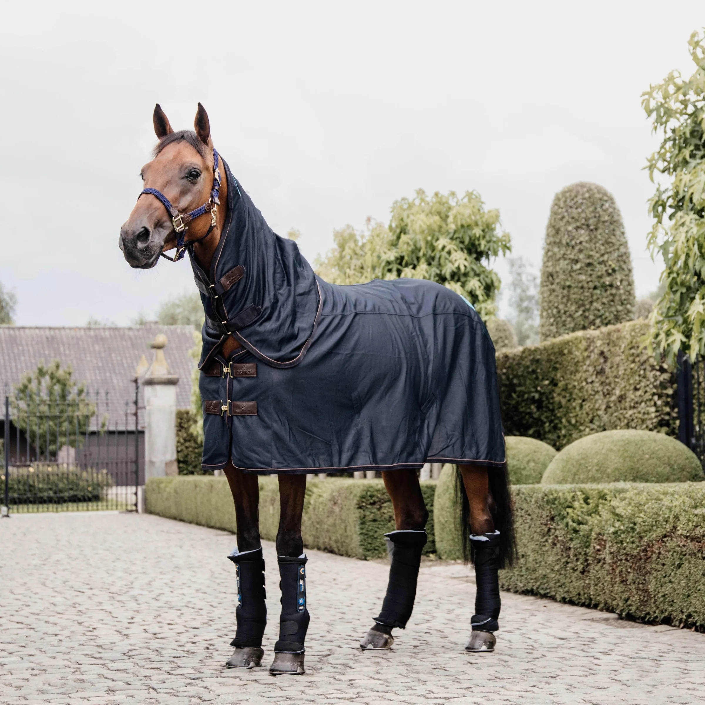 Kentucky Horsewear Magnetic Rug Recuptex