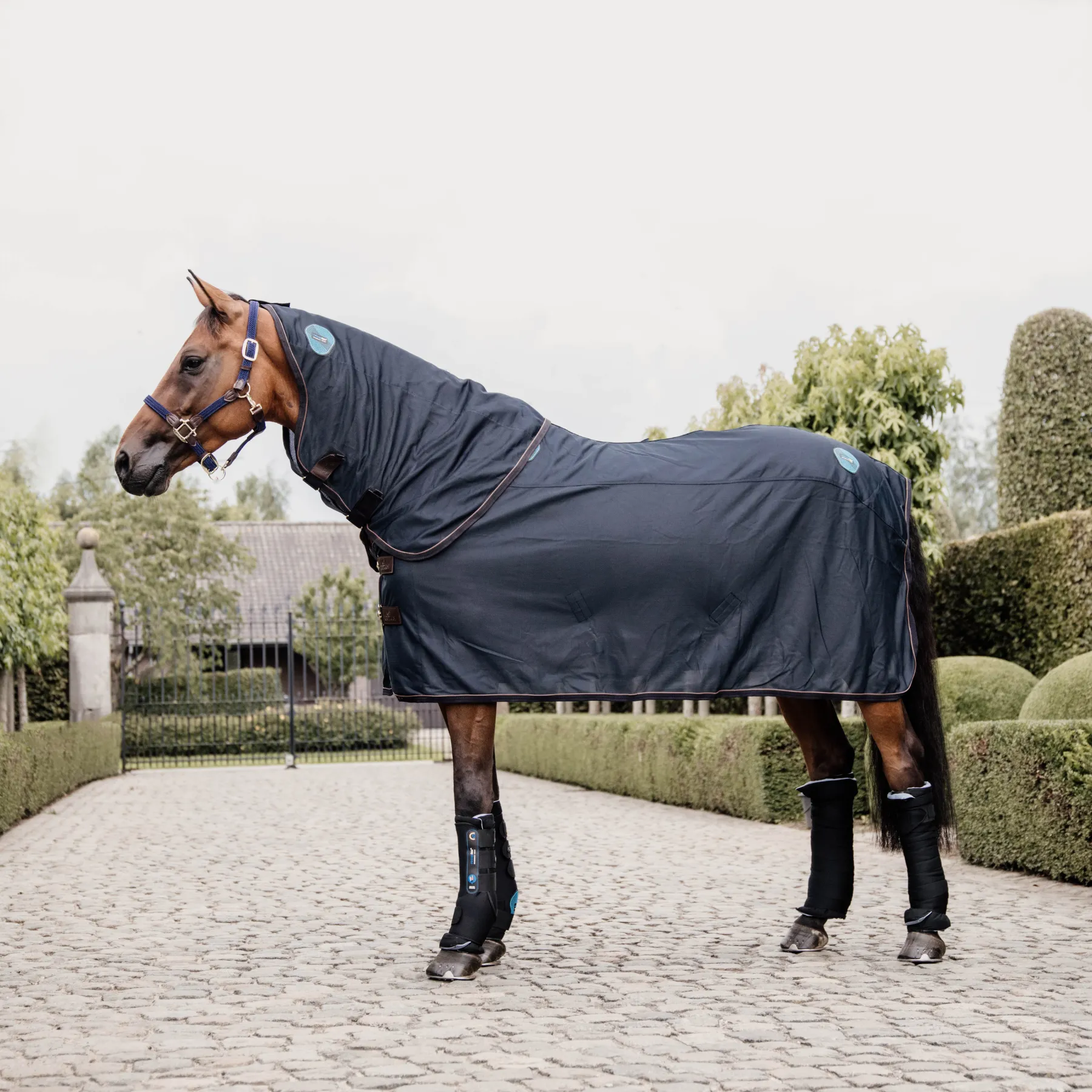 Kentucky Horsewear Magnetic Rug Recuptex