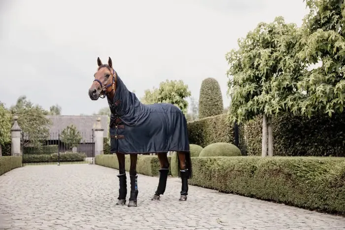 Kentucky Magnetic Rug Recuptex