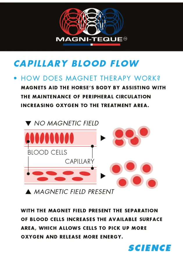 Magnetic Poll Band