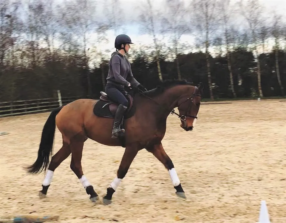 Pravins Sellier Traditional Wide Stirrup Leathers