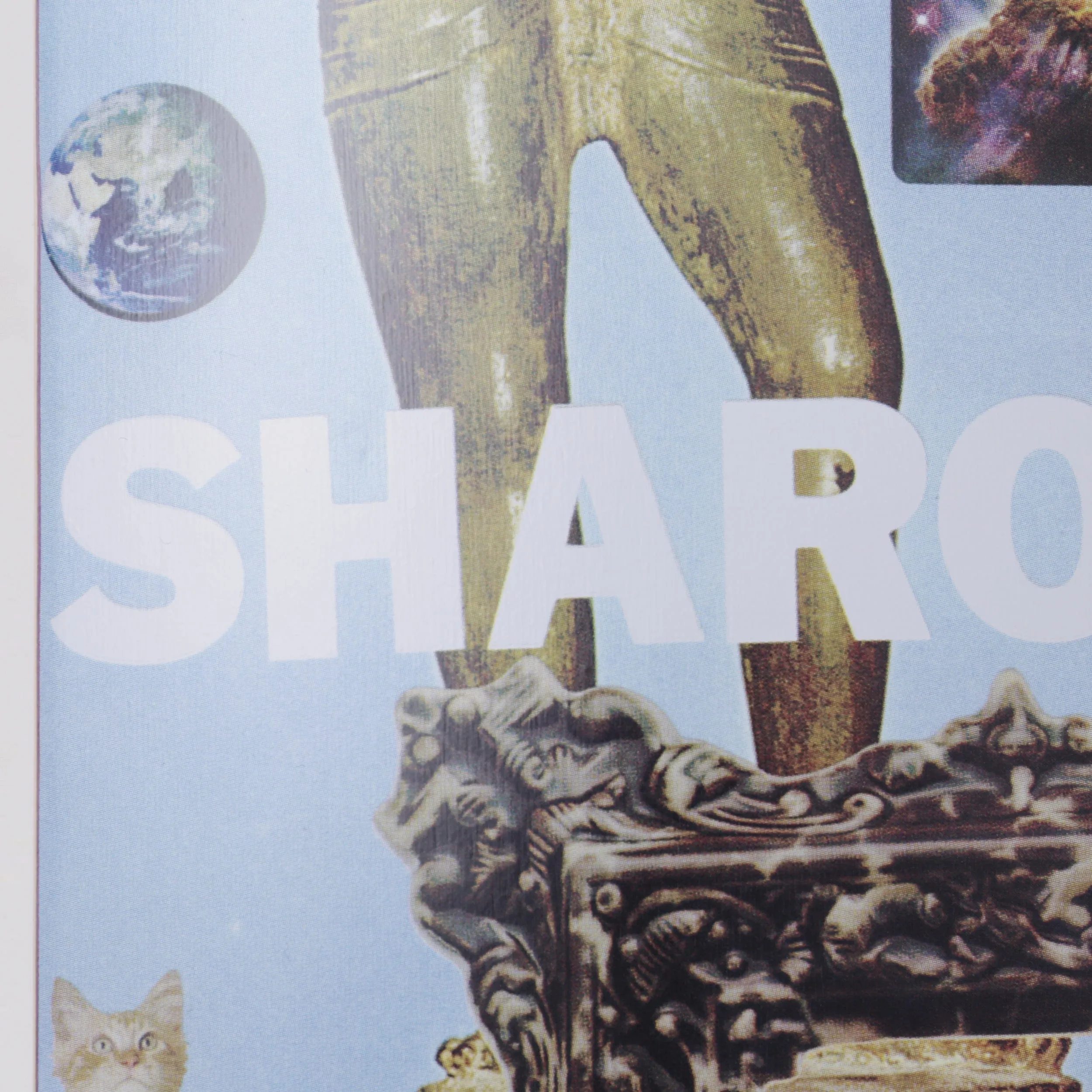 Slam City Skates X Oliver Payne 8.25 Sharon Skateboard Deck
